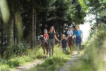 Reitausflüge im Wald bei Neureichenau